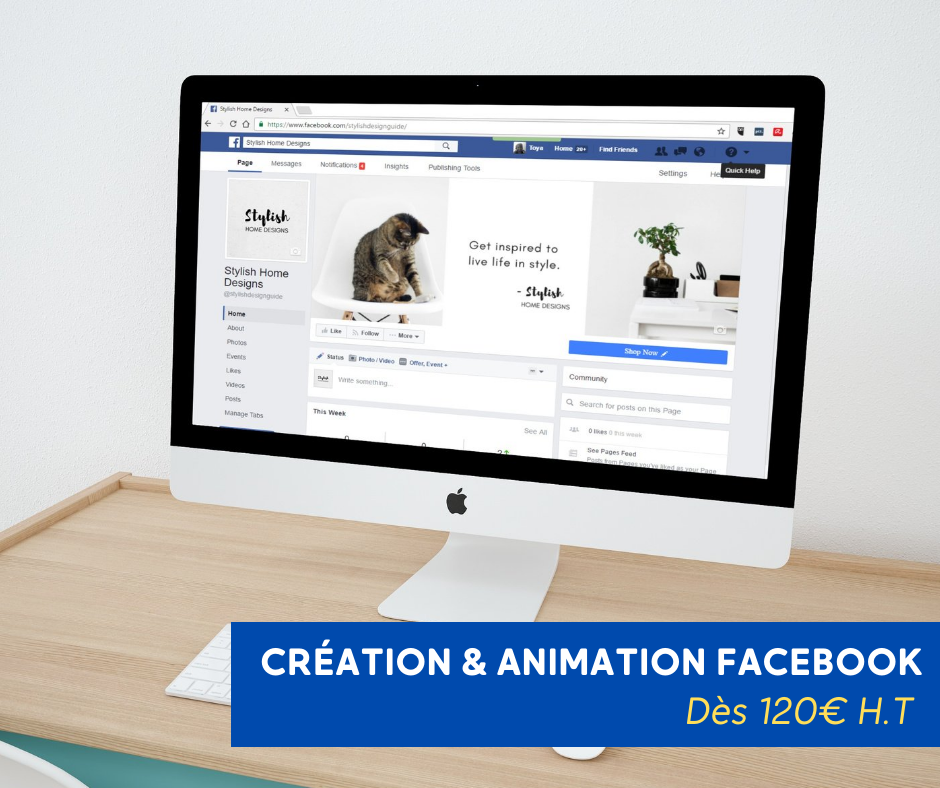 creation et animation facebook